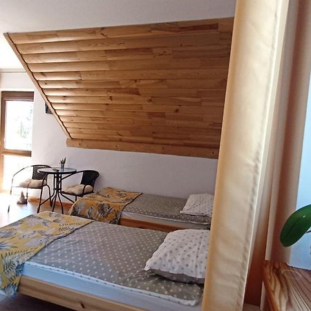 Zacisze Drwala Konuk evi Lutowiska Oda fotoğraf