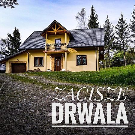 Zacisze Drwala Konuk evi Lutowiska Dış mekan fotoğraf