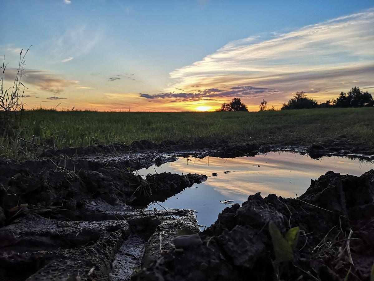 Zacisze Drwala Konuk evi Lutowiska Dış mekan fotoğraf