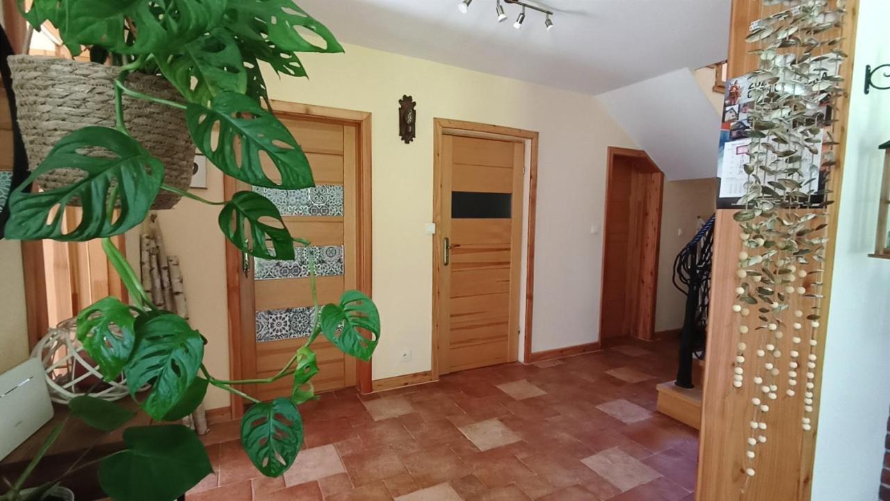 Zacisze Drwala Konuk evi Lutowiska Dış mekan fotoğraf