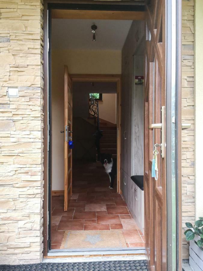 Zacisze Drwala Konuk evi Lutowiska Dış mekan fotoğraf