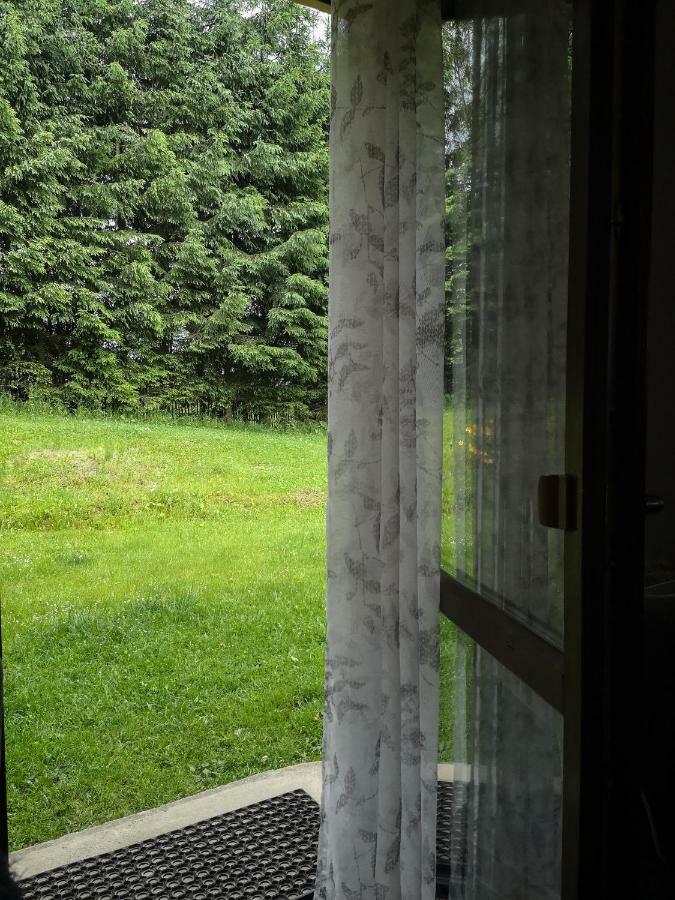 Zacisze Drwala Konuk evi Lutowiska Dış mekan fotoğraf