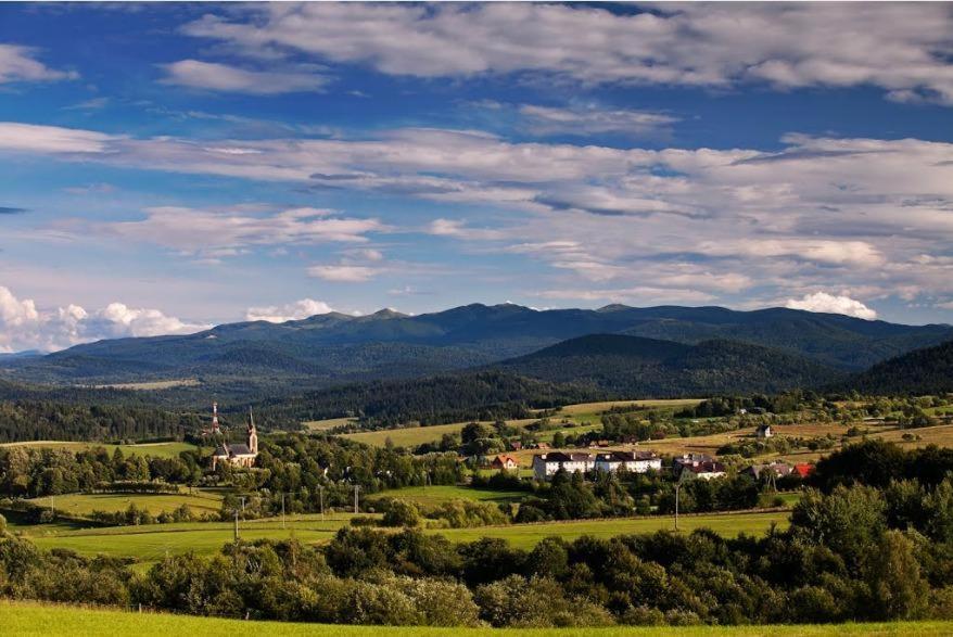 Zacisze Drwala Konuk evi Lutowiska Dış mekan fotoğraf