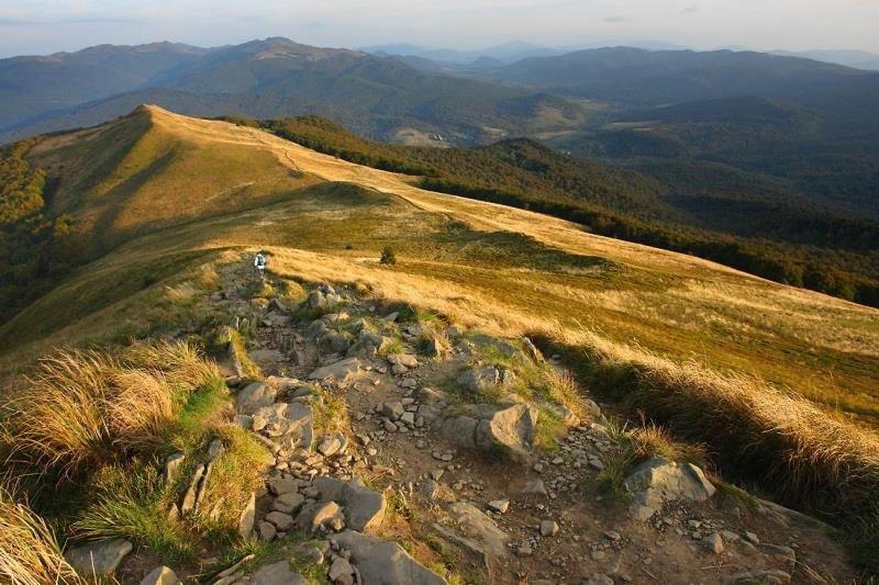 Zacisze Drwala Konuk evi Lutowiska Dış mekan fotoğraf